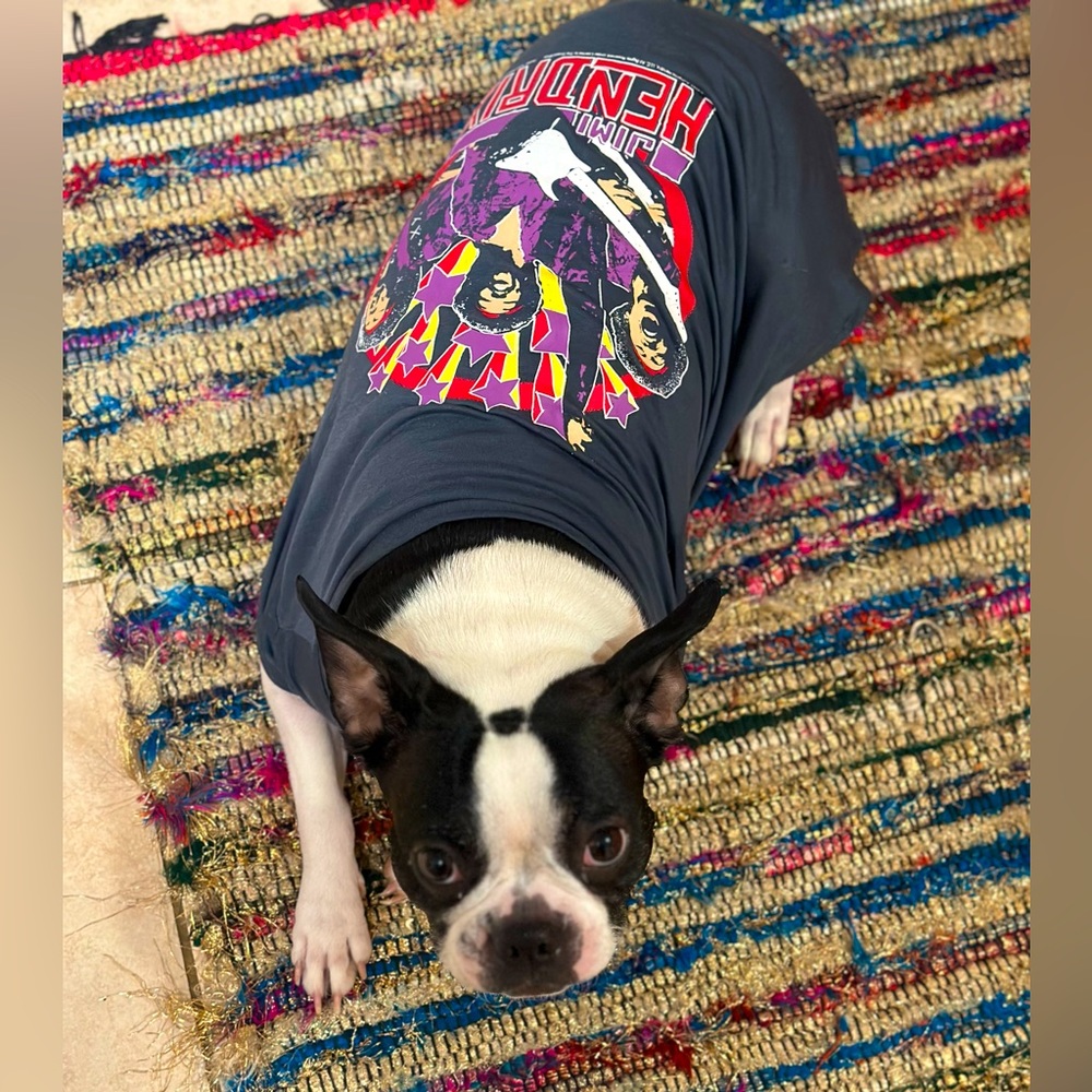 SPELL & THE GYPSY. Marley Moon 🌙 would like to know if anyone is interested.